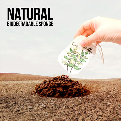 10PACK Natural Plant Based Biodegradable Eco-Friendly Cellulose Dish Sponges: Non Scratch, Multi-Purpose Kitchen,Household,Bathroom Cleaning Spong...