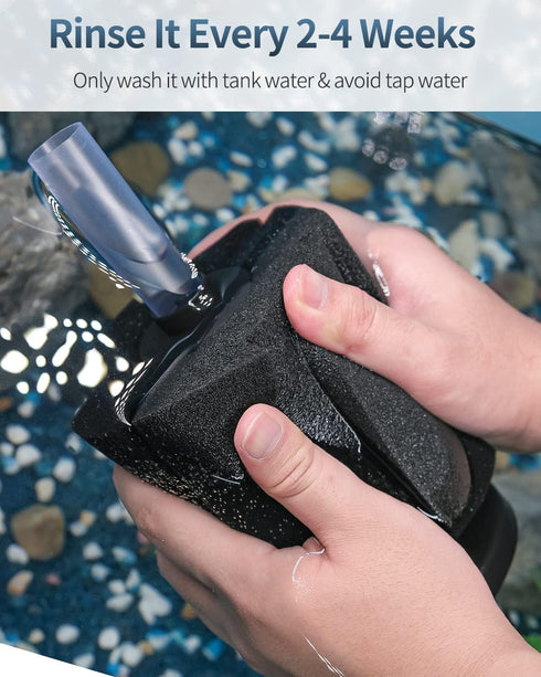 Pawfly Aquarium Bio Sponge Filter Quiet Betta Fry Shrimp and Small Fish Foam Filter for Fish Tanks up to 100 Gallons...