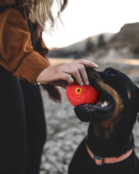 Giggle Ball for Dogs Owl Dog Toys for Aggressive Chewers Medium Large Dogs Gift for Dog Jolly Ball Natural Rubber Cute Owl Hoot(Tougher Rubber)...