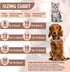 Dog Chain Collar Diamond Link Dog Collar Walking Dog Necklace Metal Cat Chain with Secure Buckle Pet Crystal Collar for Small Medium Large Dogs Ca...