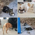 Fhiny 4PCS Stainless Steel Cat Bowls, Non-Slip Cats Water Dish with Rubber Base Stackable Pet Feeding Bowl Durable Multifunctional Replacement Whi...