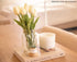 Demi's Home Match Striker - Set of 2 - White - (Matches Not Included) - Ceramic Match Holder with Striker...