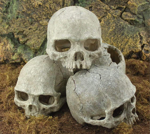 Aquarium Ornament - Emulational Skull Decor Resin decorations...