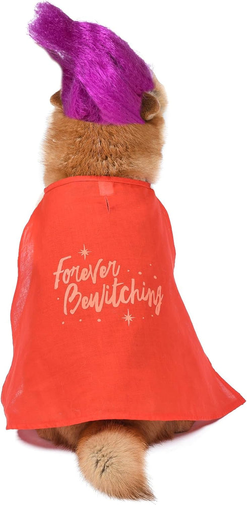 Hocus Pocus Mary Sanderson Dog Costume, Large | Halloween Costumes for Dogs, Dog Witch Costume, Official Dog Product of Disney for Pets...