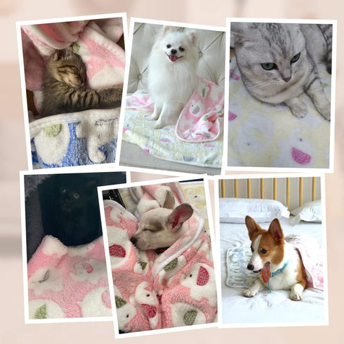 Pet Soft 1 Pack 3 Blankets Pet Blankets for Large Dogs, Fluffy Cats Dogs Blankets for Small Medium & Large Dogs, Cute Print Pet Throw Puppy Blanke...