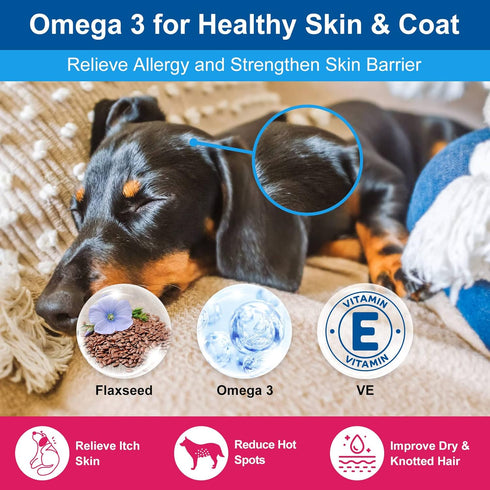Dog Vitamins Powder, Probiotics & Digestive Enzymes for Gut Health, Glucosamine & Chondroitin & Omega 3, Complete Supplement for Homemade Dog Food...