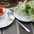 VANRA 6-Piece Dinner Spoons Set Soup Spoons Heavy Duty Stainless Steel Silver Cutlery Set 8 inches (6 spoons)...