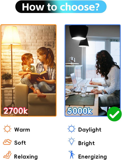 Edison Bulbs 6W E26 LED Bulb 60 Watt Equivalent, Vintage LED Light Bulbs CRI90+ ST19, Dimmable Clear Light Bulbs, 5000K Daylight White 4 Pack...