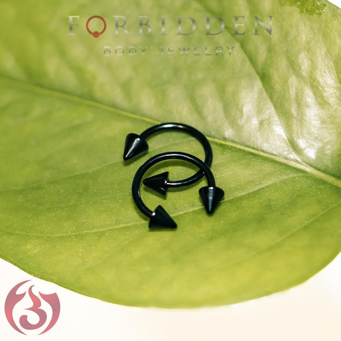 Forbidden Body Jewelry Set of 2 Rings: 16g 10mm Black IP Plated Surgical Steel Spiked Horseshoe Hoop Rings...