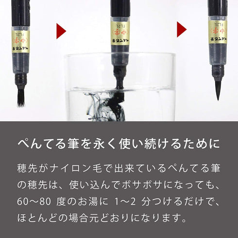 Pentel Fude Brush Pen, Extra Fine (XFL2F)...