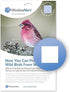 WindowAlert Classic Square Anti-Collision Decal - UV-Reflective Window Decal to Protect Wild Birds from Glass Collisions - Made in The USA...