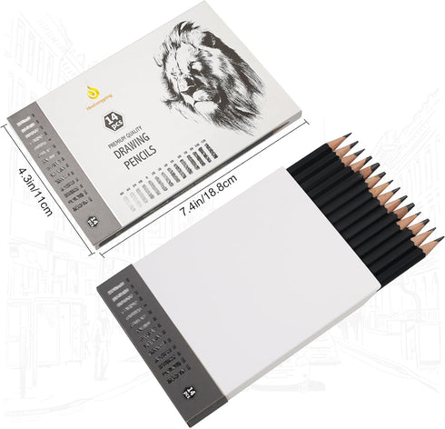 Sketch Pencils Set for Drawing, 14 Pack Graphite, for Art, Pencil kit for Sketching, Shading, Artist Pencils for Beginners Pro Artists...