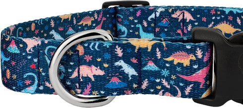 Country Brook Petz - Deluxe Dinosaurs Dog Collar - Made in The U.S.A. - Critter Corner Collection featuring Creature Themed Designs (1 Inch, Large...