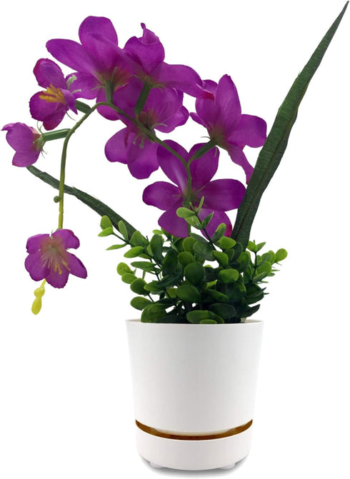 HBServices USA 8" Self Watering + Self Aerating High Drainage Deep Reservoir Round Plant Pot, Maintains Healthy Roots, for Indoor & Outdoor & Wind...