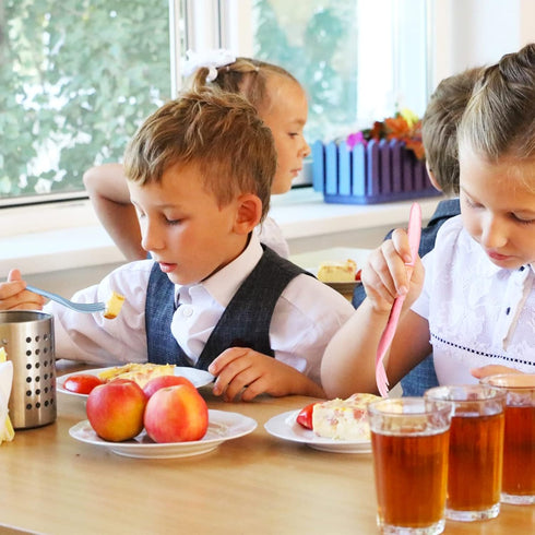 Reusable Travel Utensils Set with Case, Blue Wheat Straw Portable Knife Fork Spoons Tableware, Eco-Friendly BPA Free Cutlery for Kids and Adults a...