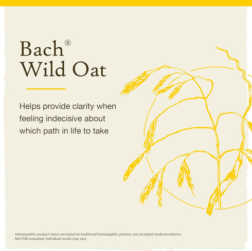 Bach Original Flower Remedies, Wild Oat for Deciding Life's Path (Non-Alcohol Formula), Natural Homeopathic Flower Essence, Holistic Wellness and ...