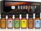 P&J Trading Road Trip Car Fragrance Oil Set – 6 Premium Scents - New Car, Leather, Forest Pine, Lemon, Clean & Fresh, Teakwood – for Car Diffusers...