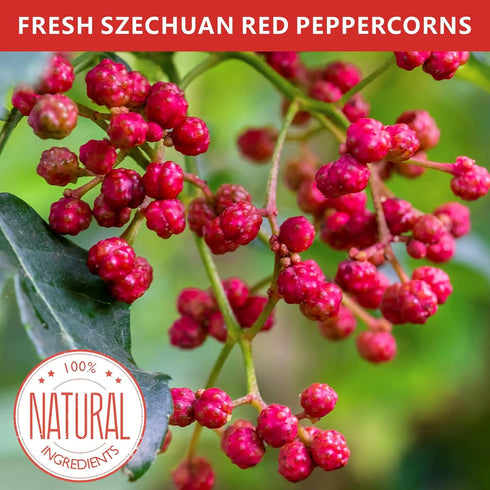 Yimi Sichuan Szechuan Peppercorns, Grade AAA Sichuan Whole Red Peppercorn, Strong Flavor for Mapo Tofu, Kung Pao Chicken, Ideal for Gift, 2.1 oz...
