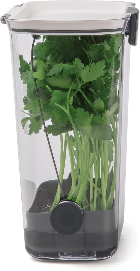 ProKeeper Herb Keeper – 1-Piece, White, with Removable Silicone Drain Plug, BPA-Free Plastic...
