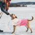 ASENKU Warm Dog Sweater for Small Medium Dogs,Pet Sweaters for Fall Winter Dog Clothing,Thicked Pullover Puppy Cat Turtleneck Sweater for Doggie C...