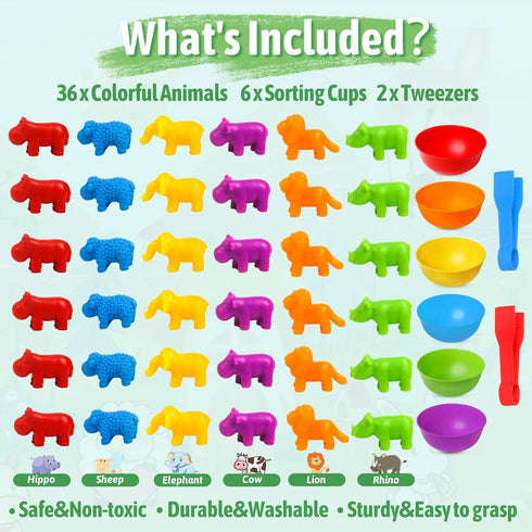 RAEQKS Counting Sorting Toys Matching Stacking Toys with Bowls Preschool Learning Activities Educational Sensory Game Montessori STEM Toy Daycare ...