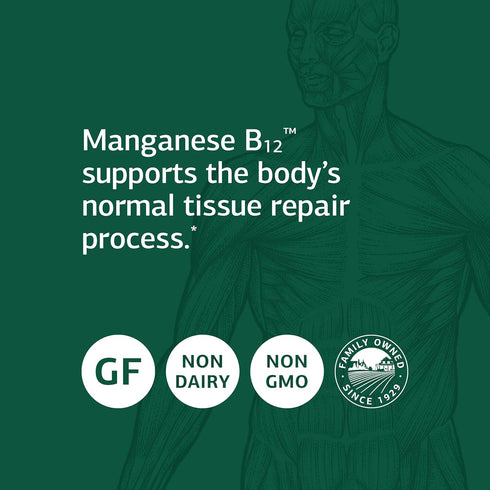 Standard Process Manganese B12 - Whole Food Hemoglobin and Antioxidant with Manganese, Organic Carrot, Maltodextrin, Copper, Organic Sweet Potato,...