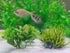 AQUANEAT Fish Tank Plants, Aquarium Plants Plastic, Green Fish Tank Decorations, 10pcs...