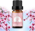 yethious Cherry Blossom Essential Oils for Diffuser & Aromatherapy Pure Cherry Blossom Oil - 10ML...