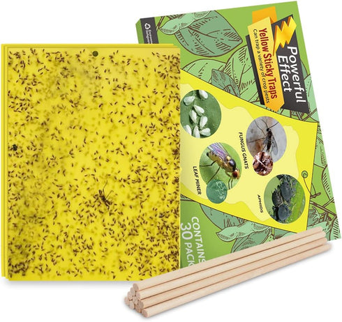 Kensizer 30-Pack Fruit Fly Trap, Yellow Sticky Gnat Traps Killer for Indoor/Outdoor Flying Plant Insect Like Fungus Gnats, Whiteflies, Aphids, Lea...