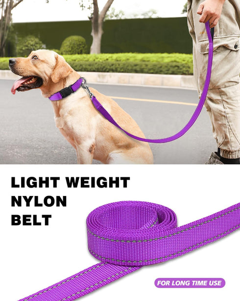6ft Dog Leash for Small Medium Large Dogs | One-Sided Reflective Nylon | Padded Handle | 3/4 inch Wide | Purple...