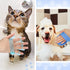 9 Pcs Dog Grooming Brush Shedding Kit Self Cleaning Slicker Dog Brush Shedding and Flea Comb Nail Clippers and File Pet Grooming Brush with Adjust...
