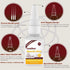 20g Leather Glue, Special Fabric Adhesive for Leather Craft, Shoe Repair, Furniture Upholstery, DIY | Strong Bonding Permanent Clear Washable for ...