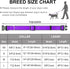 Dynmeow Reflective Dog Collar and Leash Set, 6FT Strong Climbing Rope Leash with Padded Handle, Adjustable Pet Collar with Soft Neoprene Padding f...