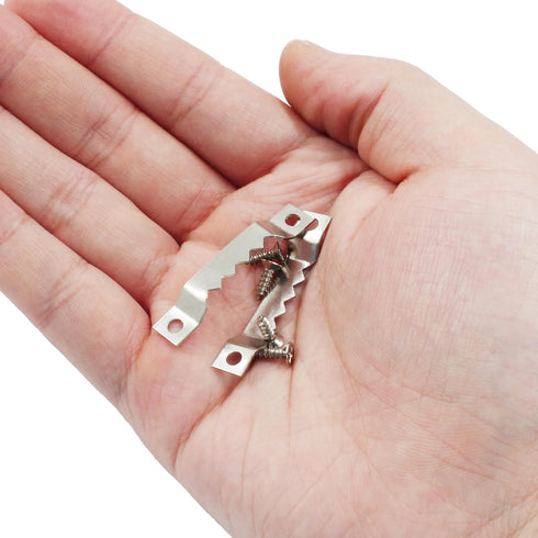 50 Pcs Small Sawtooth Picture Hangers with 100 Screws, Metal Photo Frame Hangers for Picture Frame Painting Clock Artwork Home Decoration, Silver...