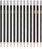Professional Charcoal Pencils Drawing Set - 13 Pieces Neutral, HARD, SOFT, 14B, 12B Charcoal Pencils for Drawing, Sketching, Shading, Artist Penci...