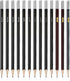 Professional Charcoal Pencils Drawing Set - 13 Pieces Neutral, HARD, SOFT, 14B, 12B Charcoal Pencils for Drawing, Sketching, Shading, Artist Penci...
