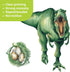 DECOWALL DS-8034 Watercolour Dinosaur Kids Wall Stickers Wall Decals Peel and Stick Removable Wall Stickers for Kids Nursery Bedroom Living Room (...