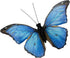 Berfutall-Morpho Butterfly Feather Butterflies on Picks Floral Supplies Set of 12 pcs Halloween Thanksgiving Decorations…...