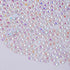 4000pcs Resin AB Flatback Rhinestones for Nails Art Crafts Glitter 2/3/4/5/6mm Round Jelly Rhinestones in A Box with Pickup Pen,Gems Crystals for ...
