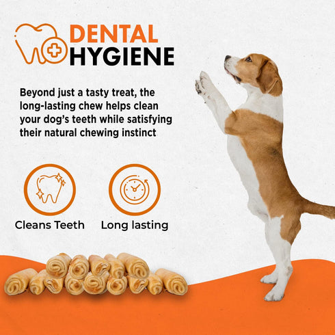 Canine Naturals Chicken Recipe Chew - Rawhide Free Dog Treats - Made from USA Raised Chicken - All-Natural and Easily Digestible - 2 Pack of 9 Inc...