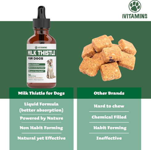 Milk Thistle for Dogs | Supports Liver and Kidney Health | Milk Thistle for Dogs Liver Support | Dog Milk Thistle | Dog Liver Support | Dog Liver ...