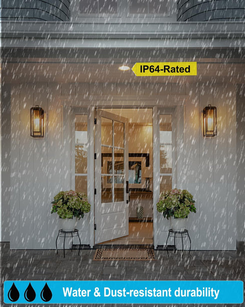Par38 Flood Light Bulbs Outdoor/Indoor 5000K Daylight,15W(150W Equivalent) LED Bulb Waterproof Spot Light Bulb, Dimmable led Flood Light, E26 Medi...