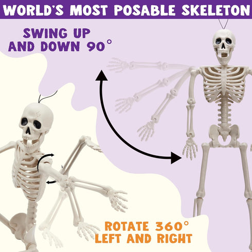 JOYIN 3 PCS Halloween Hanging Skeletons 16" Full Body Posable Joints Movable Plastic Bones for Halloween Party Outdoor Indoor Decor, Yard Patio La...