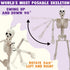 JOYIN 3 PCS Halloween Hanging Skeletons 16" Full Body Posable Joints Movable Plastic Bones for Halloween Party Outdoor Indoor Decor, Yard Patio La...