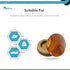 MARINE CITY Genuine Teak Center Cap Wood Durable Strong Centre Cap (2-3/4 inches) for Marine Destroyer Steel Wheels Marines Boats Yachts Hardware ...