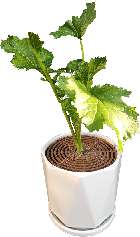 Yfan Plant Pot Gird with Center Hole Cuttable Plastic Gird Flower Cover Soil Protectors from Cats Dogs Digging Stopper Baby satety Plant Gird Cove...