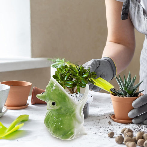 Frog Succulent Pot Cute Animal Pen Holder Cup Ceramic Funny Frog Statue Planter Novelty Cactus Flower Pot for Miniature Plant Holder Home Garden O...