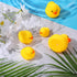 Junkin 5 Pcs Bath Ducks Yellow Rubber Duck without Hole Bath Toy Waterproof No Noise Funny Ducks Family Baby Shower Toy for Boys Girls Birthday Pa...