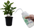 2PK Houseplant Helper Plant Water Bottle, 16oz -Weekly Irrigation Scale Printed on Side - Plant Watering Devices, Succulent Watering Bottle, Indoo...