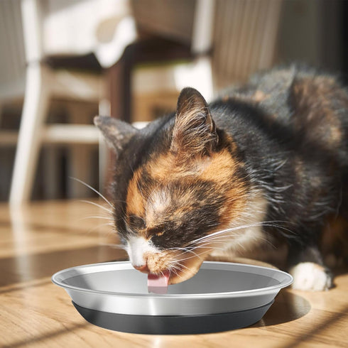 Whisker Fatigue Cat Bowl, SUS304 Stainless Steel Cat Bowls Non-Slip Silicone Bottom for Food and Water for Medium and Large Pets -Set of 2...